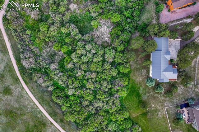 18155 Flowered Meadow Lane