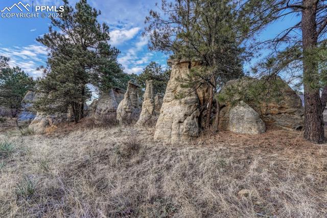 4215 McPherson Avenue