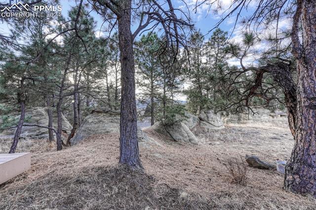 4215 McPherson Avenue