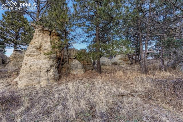 4215 McPherson Avenue