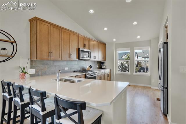 11136 Falling Snow Lane