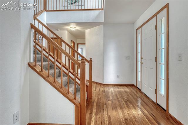 3728 Pony Tracks Drive