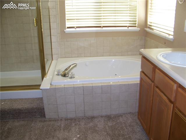 4603 Desert Varnish Drive