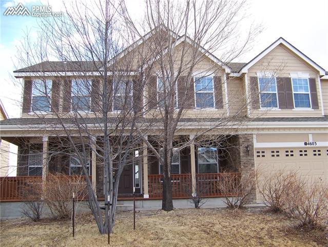 4603 Desert Varnish Drive