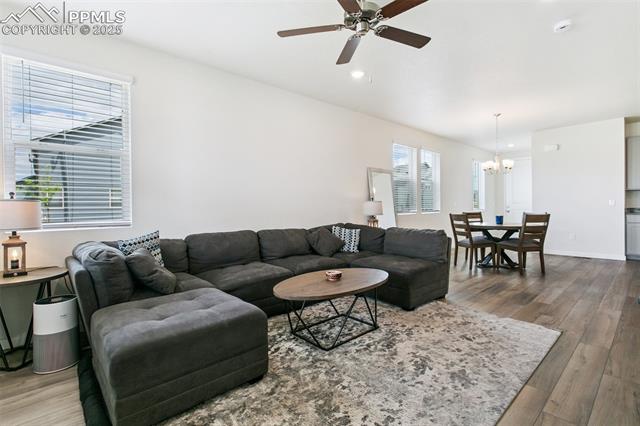 8162 Grey Bark Way