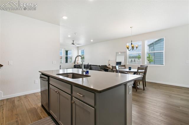 8162 Grey Bark Way