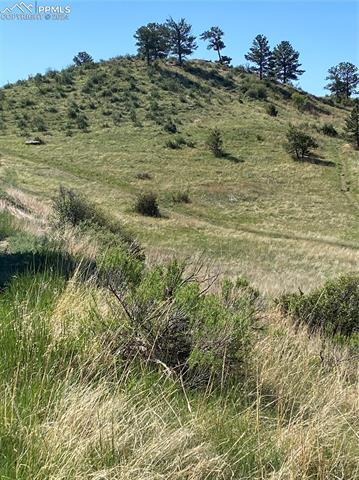 87 Saddlemountain Road