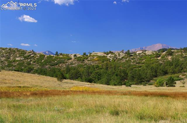 87 Saddlemountain Road