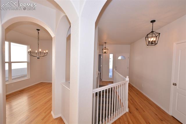 9542 Orchard Park Trail