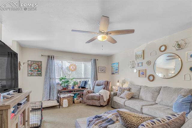 411 Wilhelmia Avenue