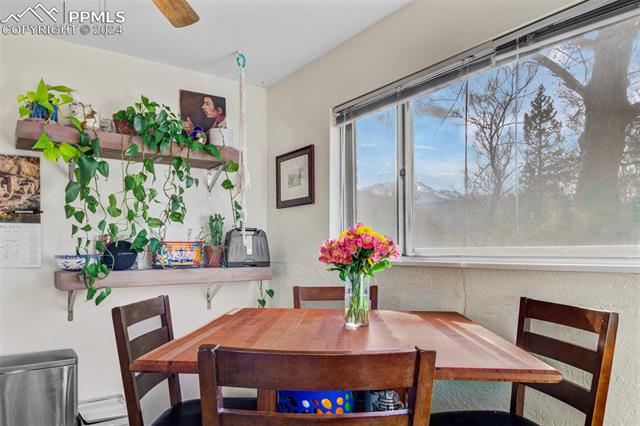 411 Wilhelmia Avenue