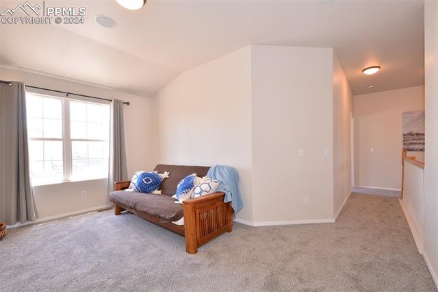 17240 Park Trail Drive