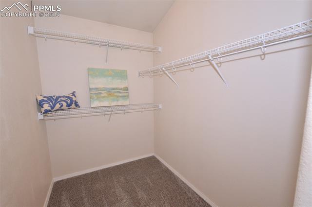 17240 Park Trail Drive