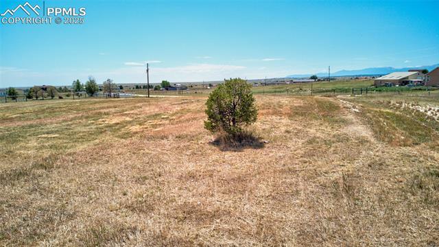 15960 Alta Plaza Circle