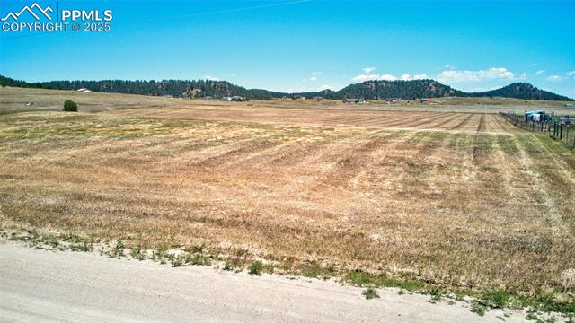 15960 Alta Plaza Circle