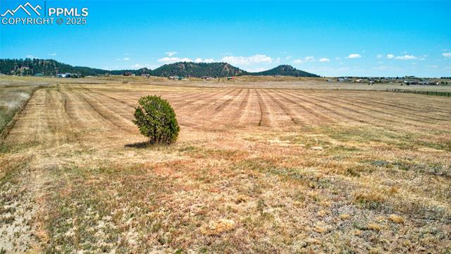 15960 Alta Plaza Circle