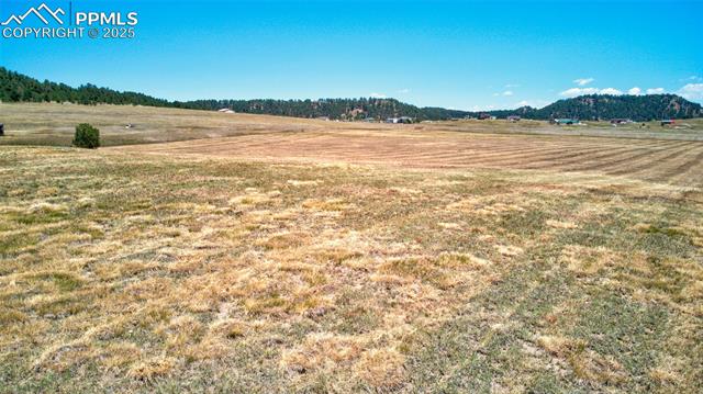 15960 Alta Plaza Circle