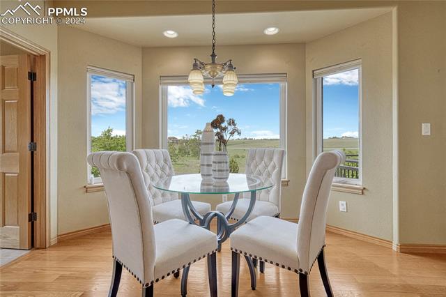 17174 Pony Pond Drive