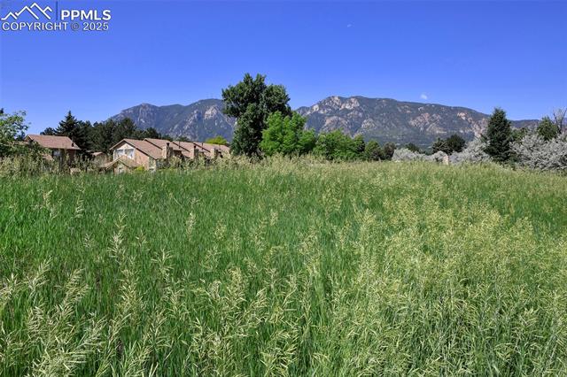 296 Cobblestone Drive