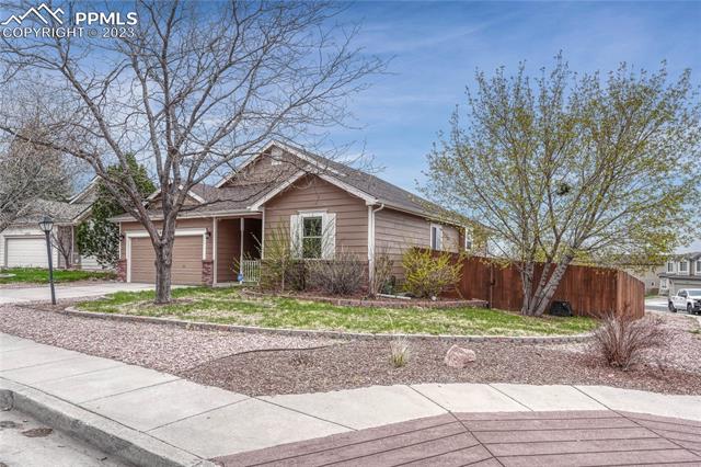 3365 Cowhand Drive