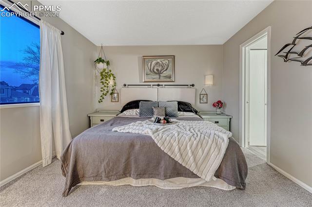 5521 Mansfield Court