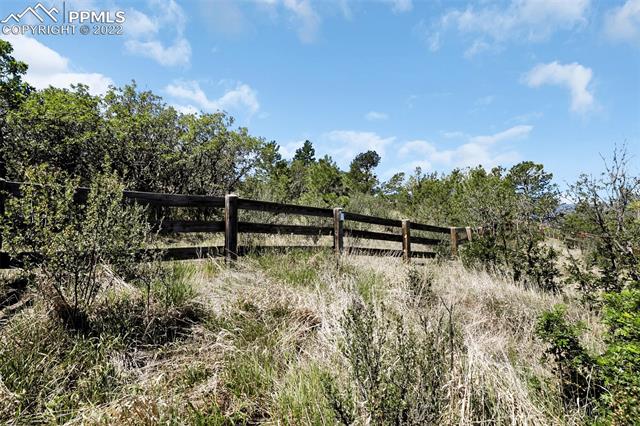 514 Coyote Willow Drive