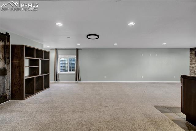 514 Coyote Willow Drive