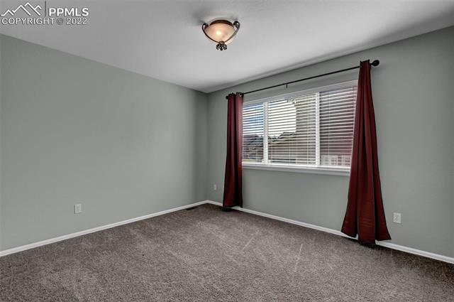 514 Coyote Willow Drive