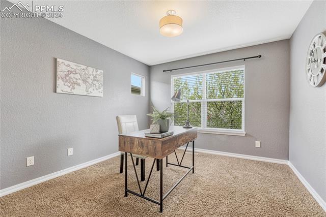 9911 San Luis Park Court