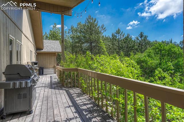 18417 Gregs Pond Lane