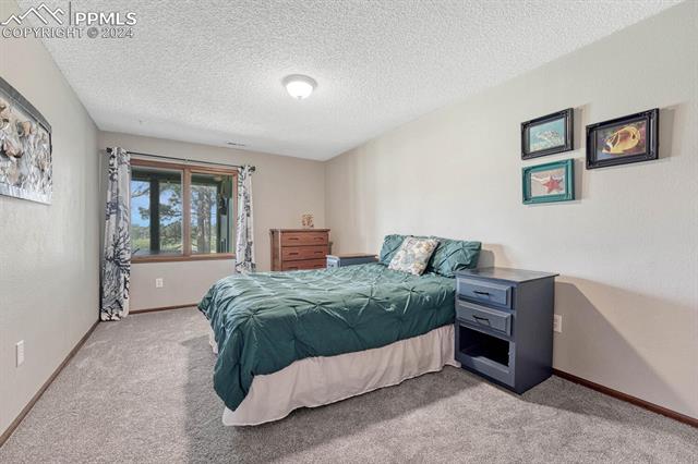 18417 Gregs Pond Lane