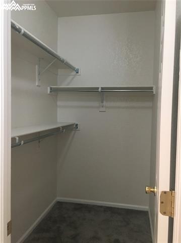 7317 Brush Hollow Drive