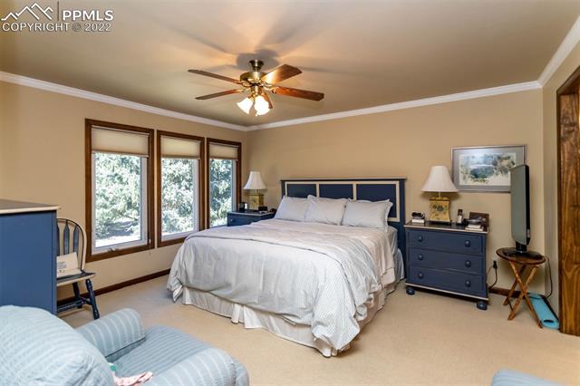 26 Woodbridge Drive