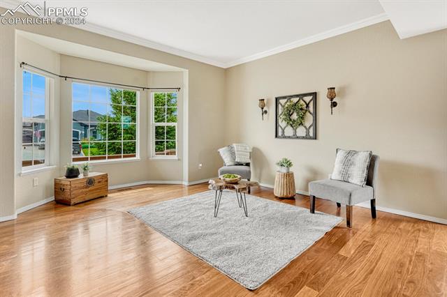 16165 Gold Creek Drive