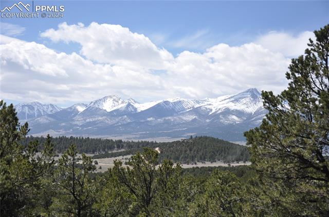 1235 Corral South Road