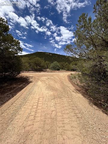 1235 Corral South Road