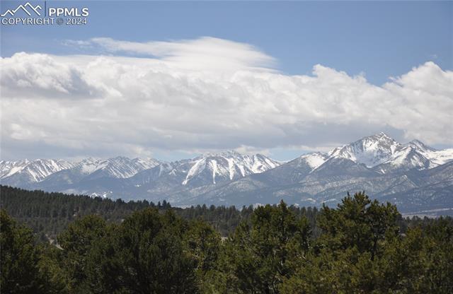 1235 Corral South Road