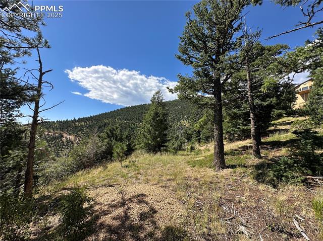 252 Grand Horizon View