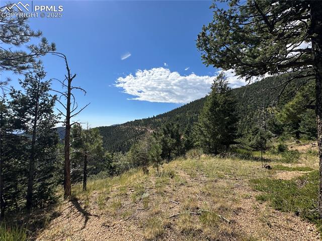 252 Grand Horizon View