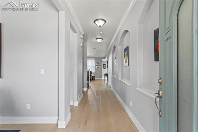 7890 Silver Birch Drive