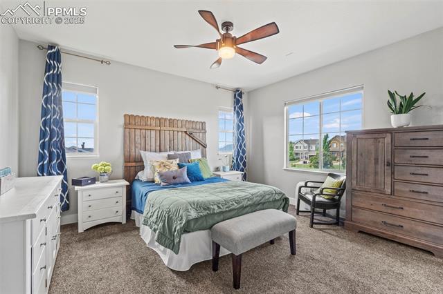 7890 Silver Birch Drive