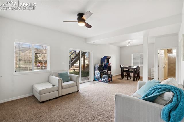 1613 Lily Lake Drive