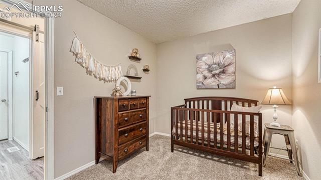 2063 Sage Grouse Lane