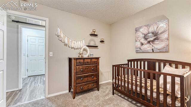 2063 Sage Grouse Lane