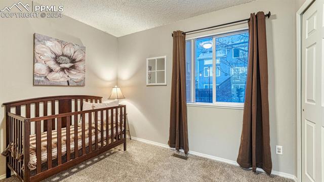 2063 Sage Grouse Lane