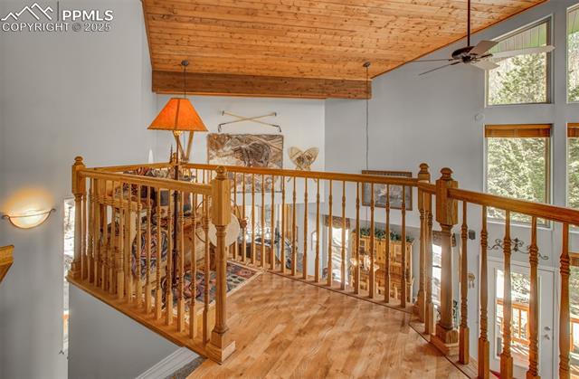 5880 Derby Rock Loop