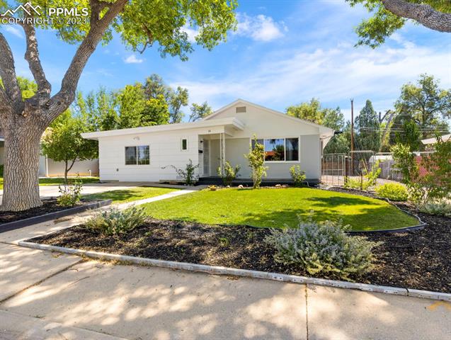 16 MacNaughton Road