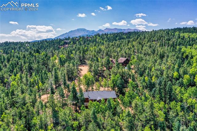 221 Potlatch Trail