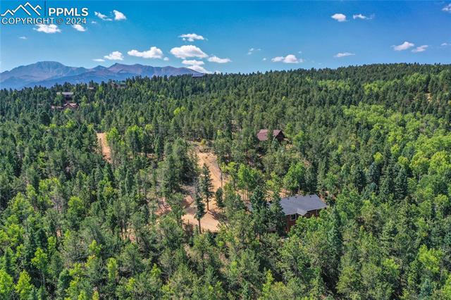 221 Potlatch Trail