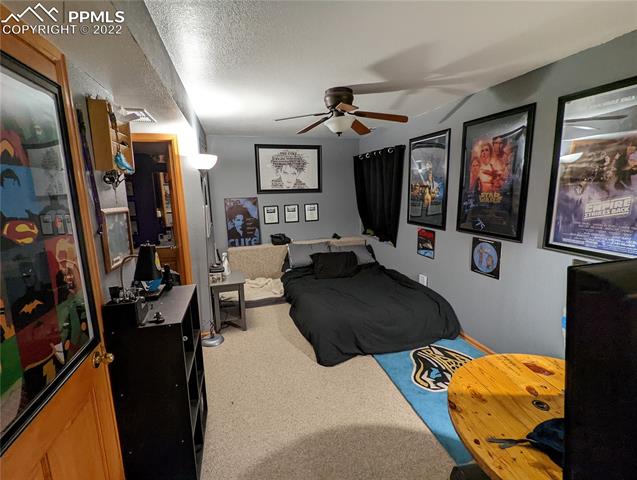 5243 Belle Star Drive